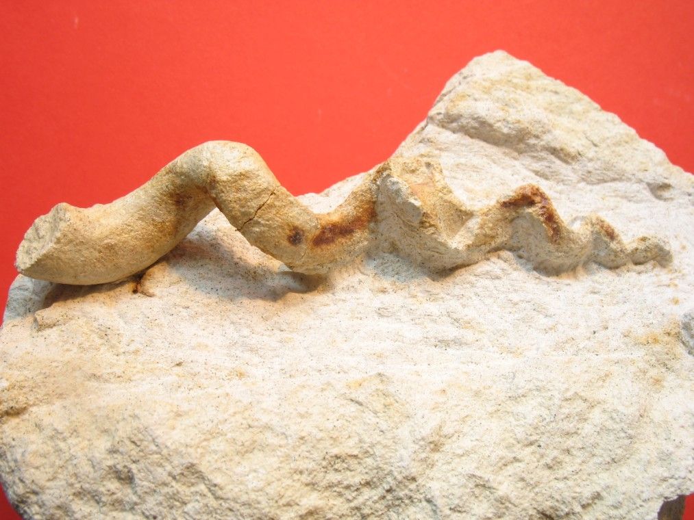 Steinkern.de Die Galerie Kategorie Raum